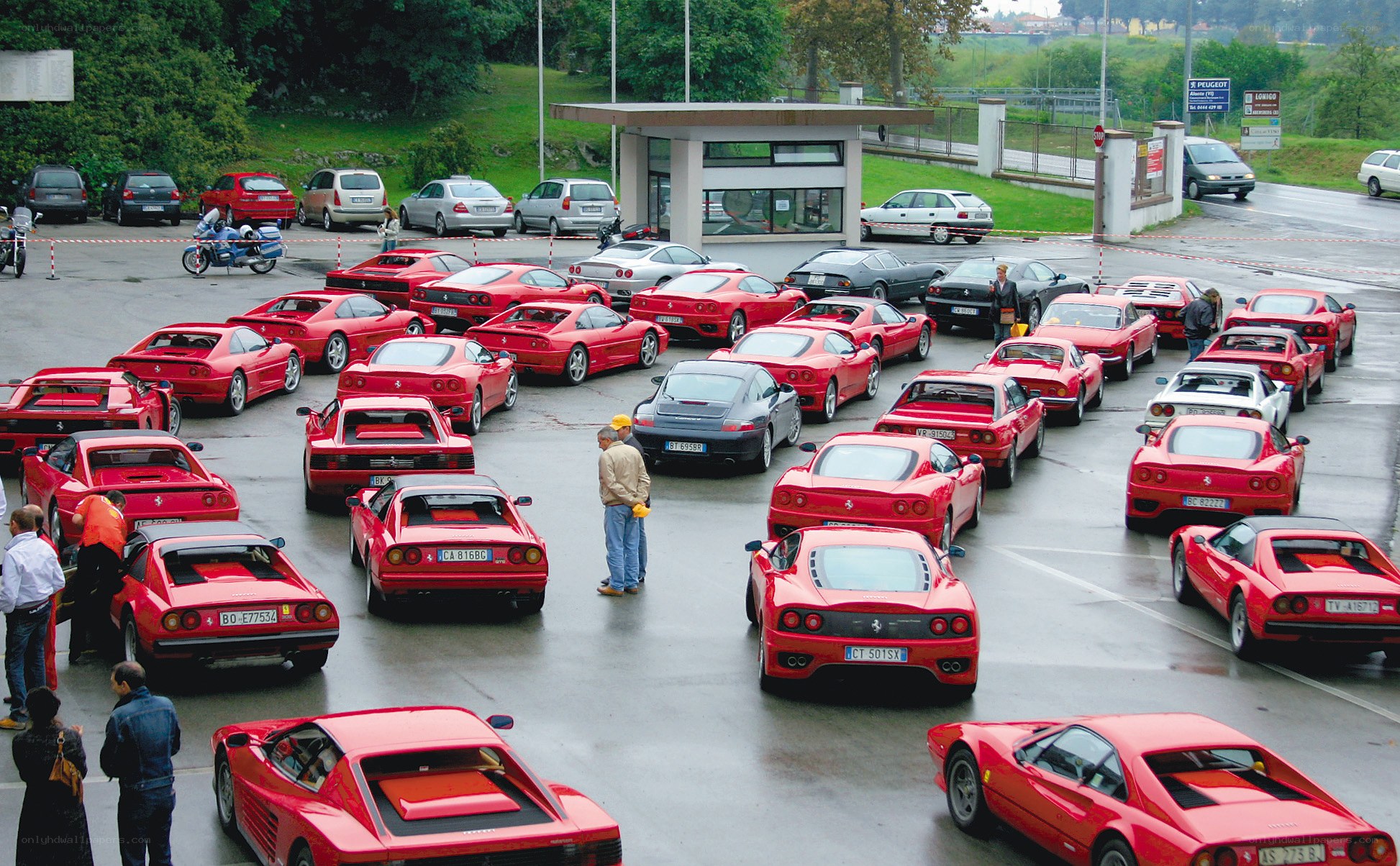 Ferrari car collection display