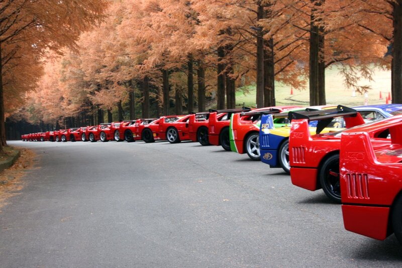 Ferrari cars lined up in autumn