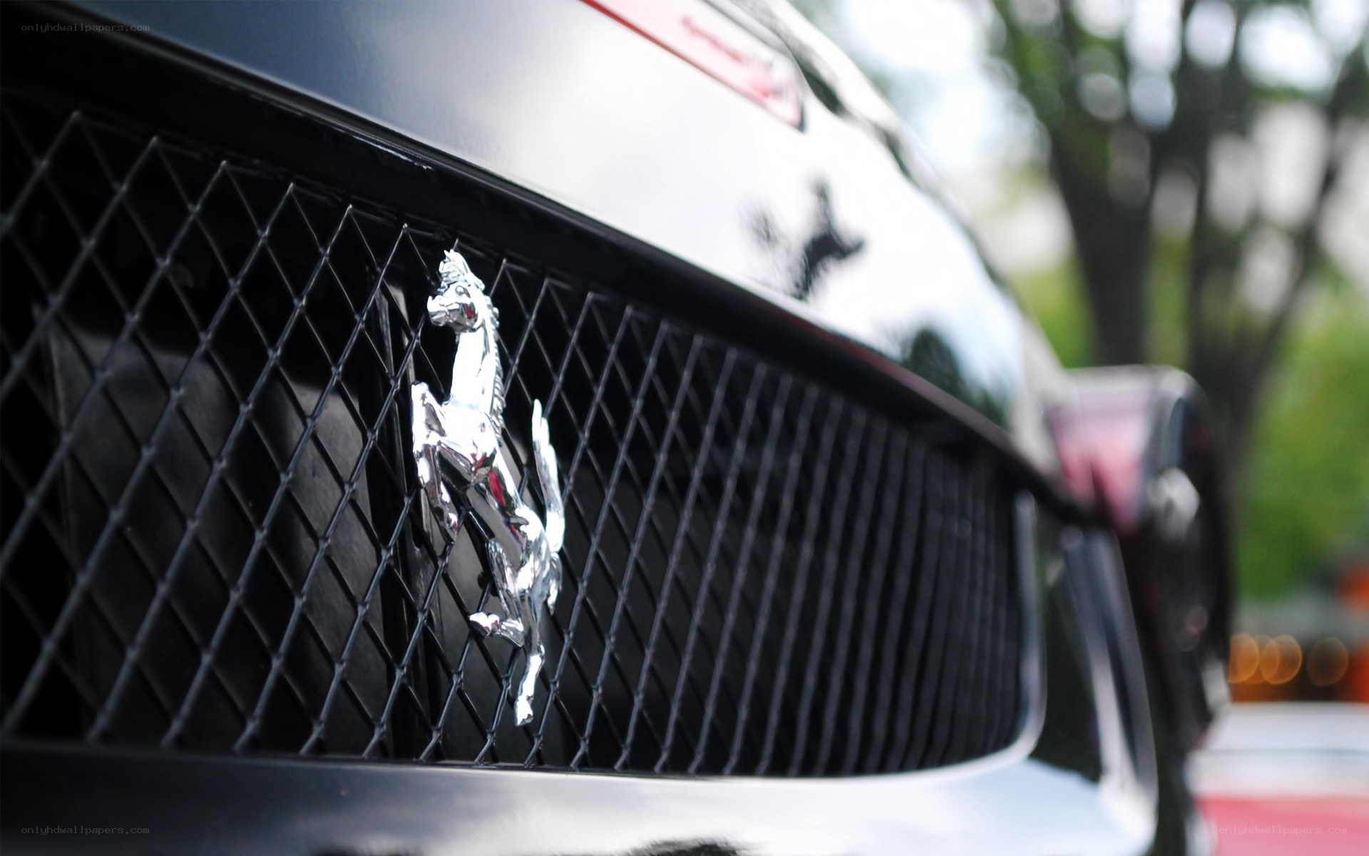 Ferrari emblem on car grille