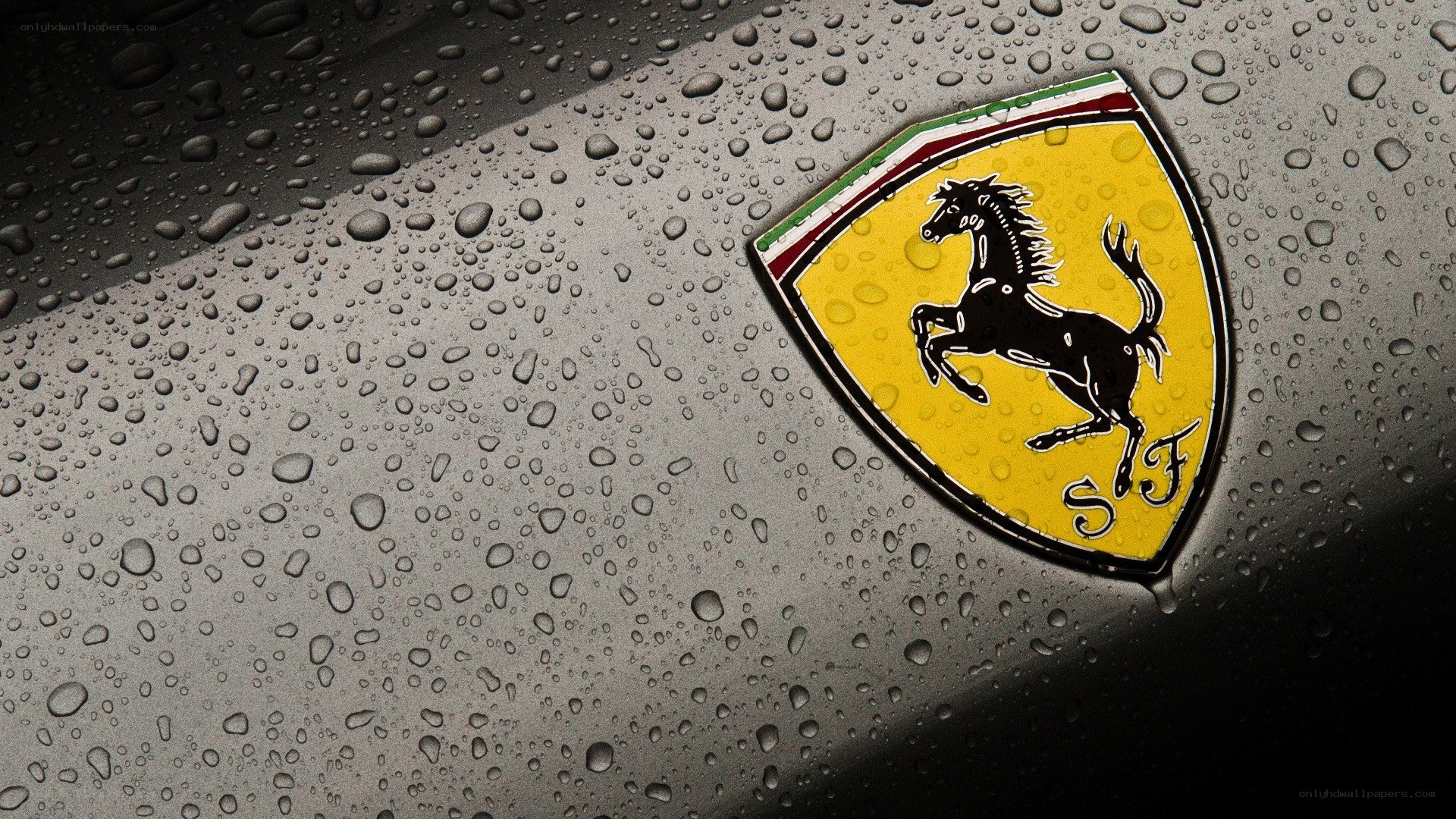 Ferrari emblem on wet surface