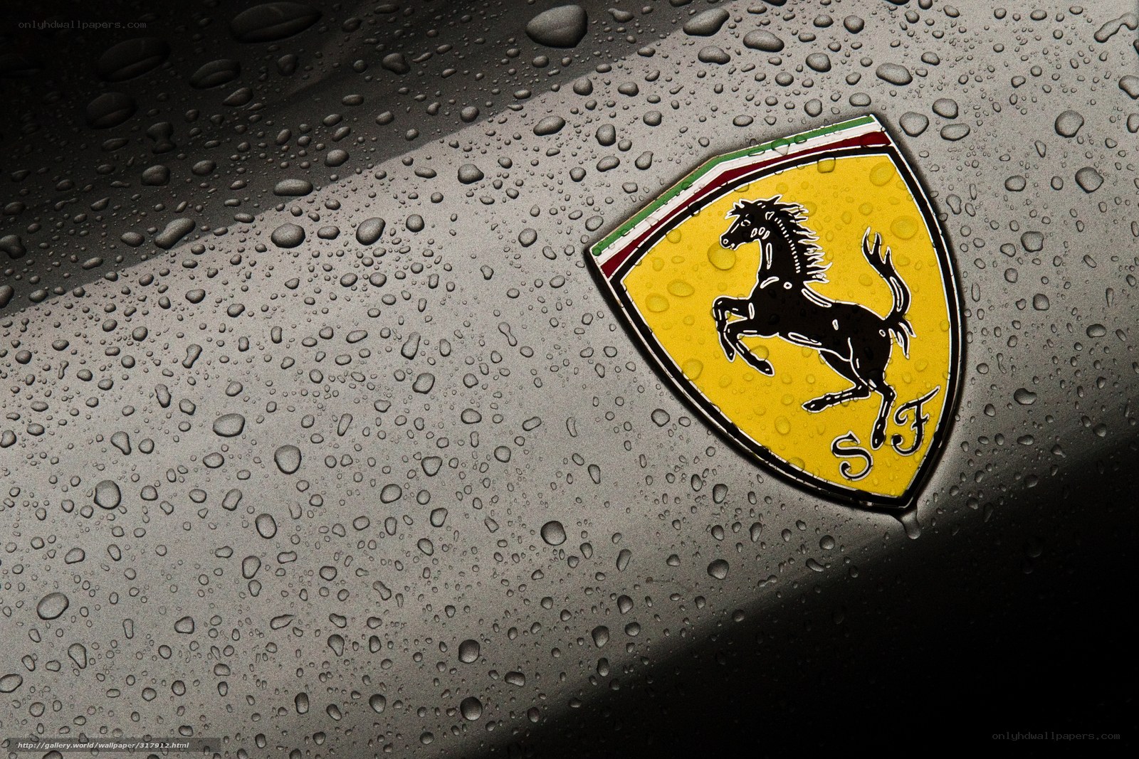 Ferrari emblem on wet surface