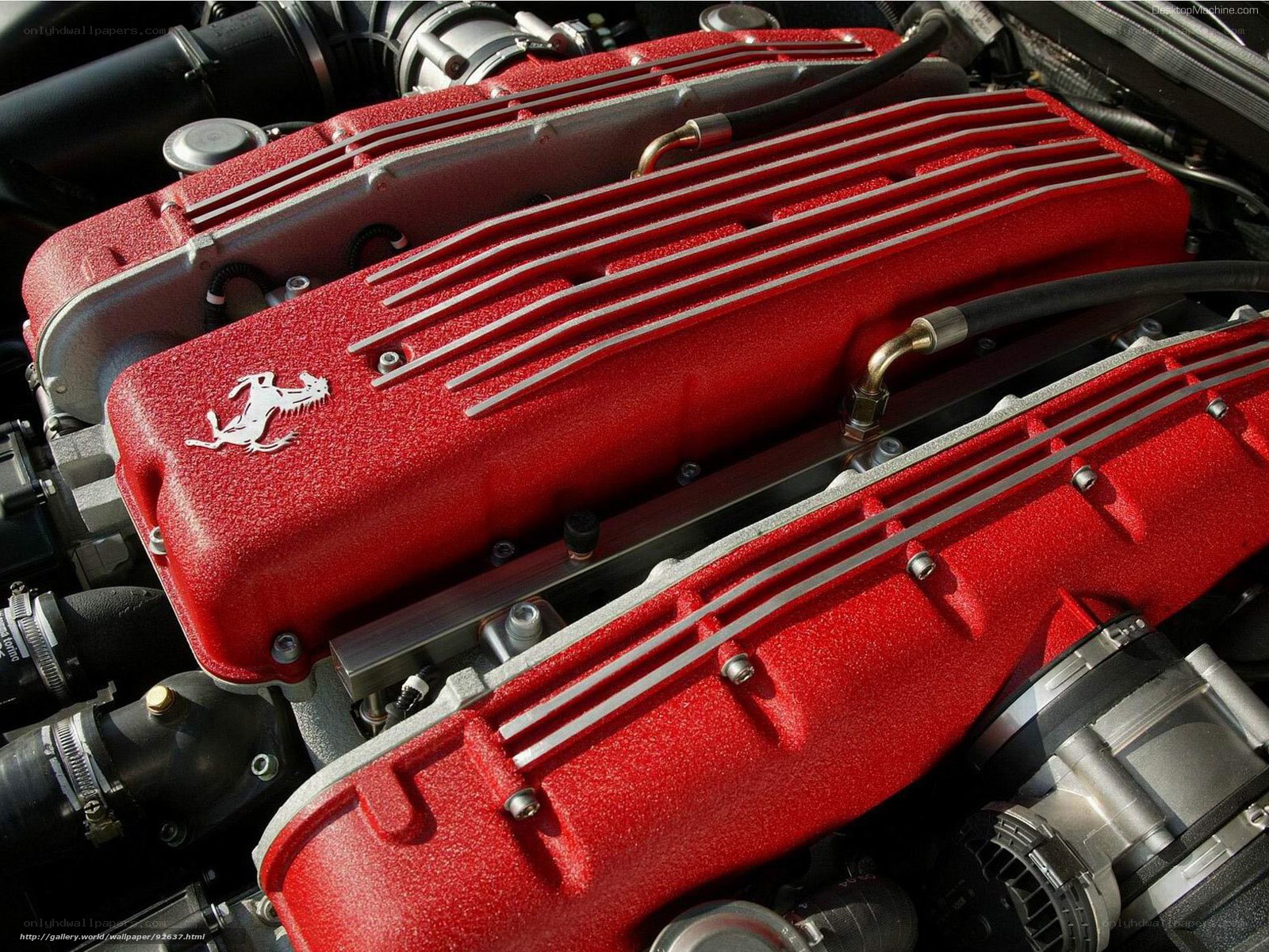 Ferrari engine close-up