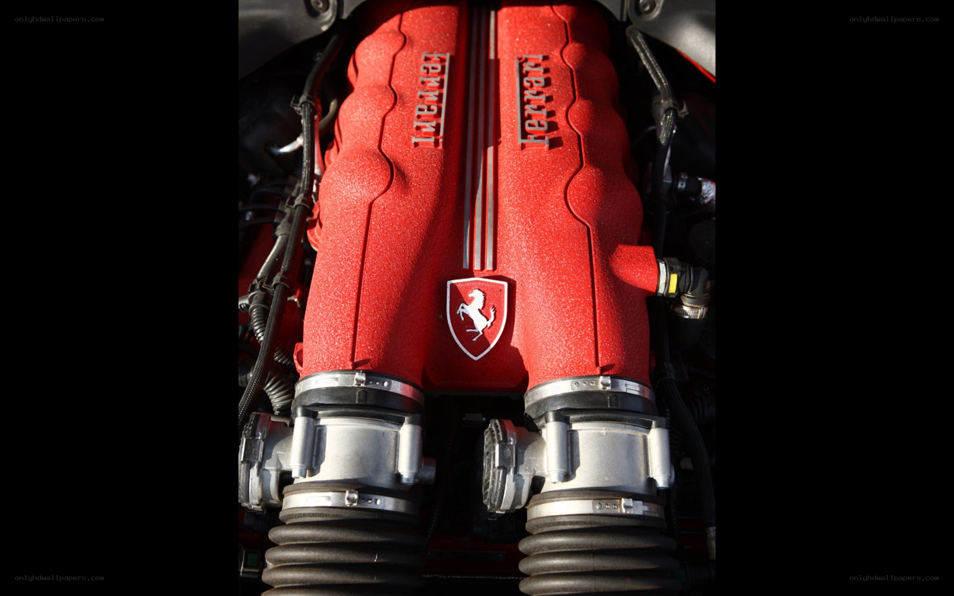 Ferrari engine cover