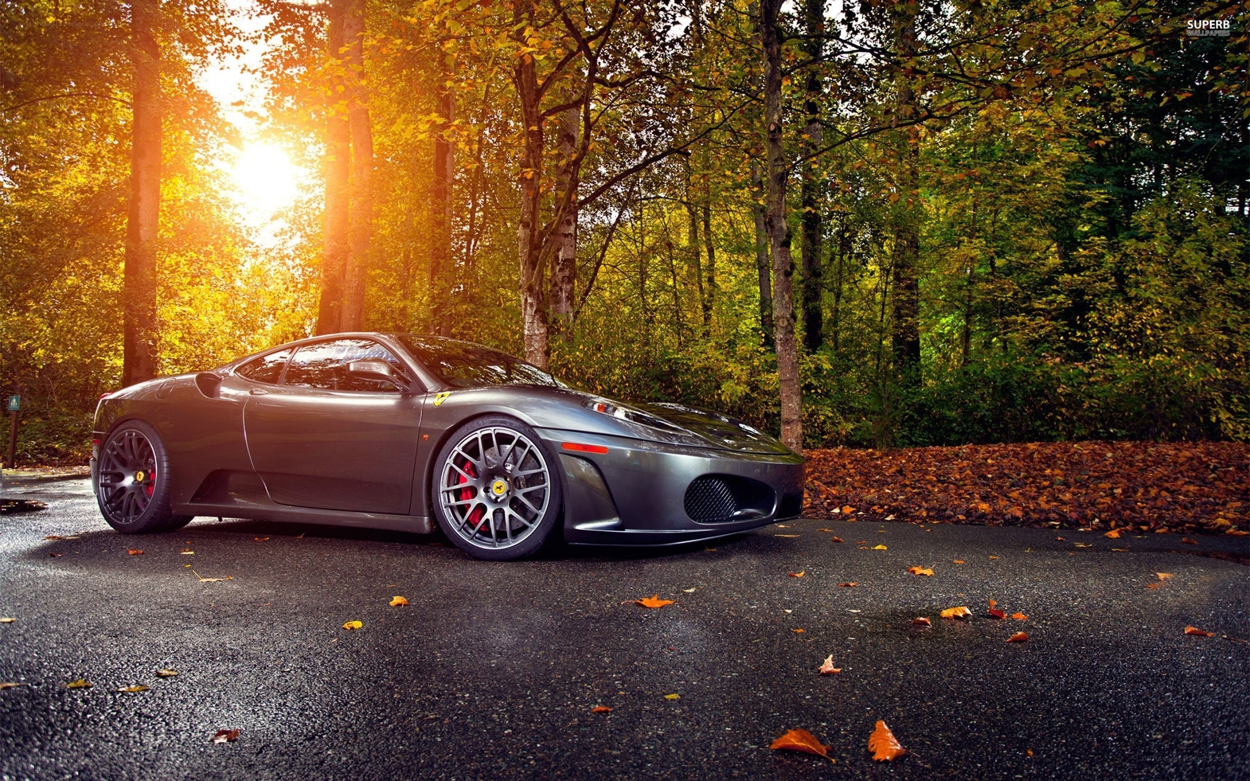 Ferrari in autumn forest
