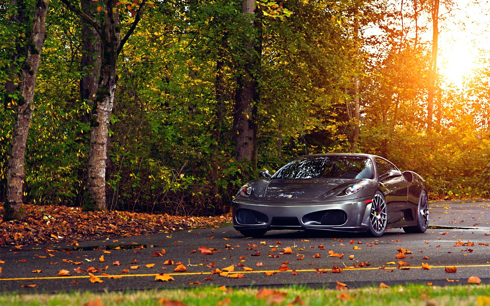 Ferrari in autumn forest