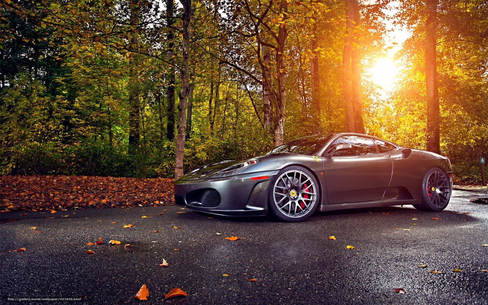 Ferrari in autumn forest