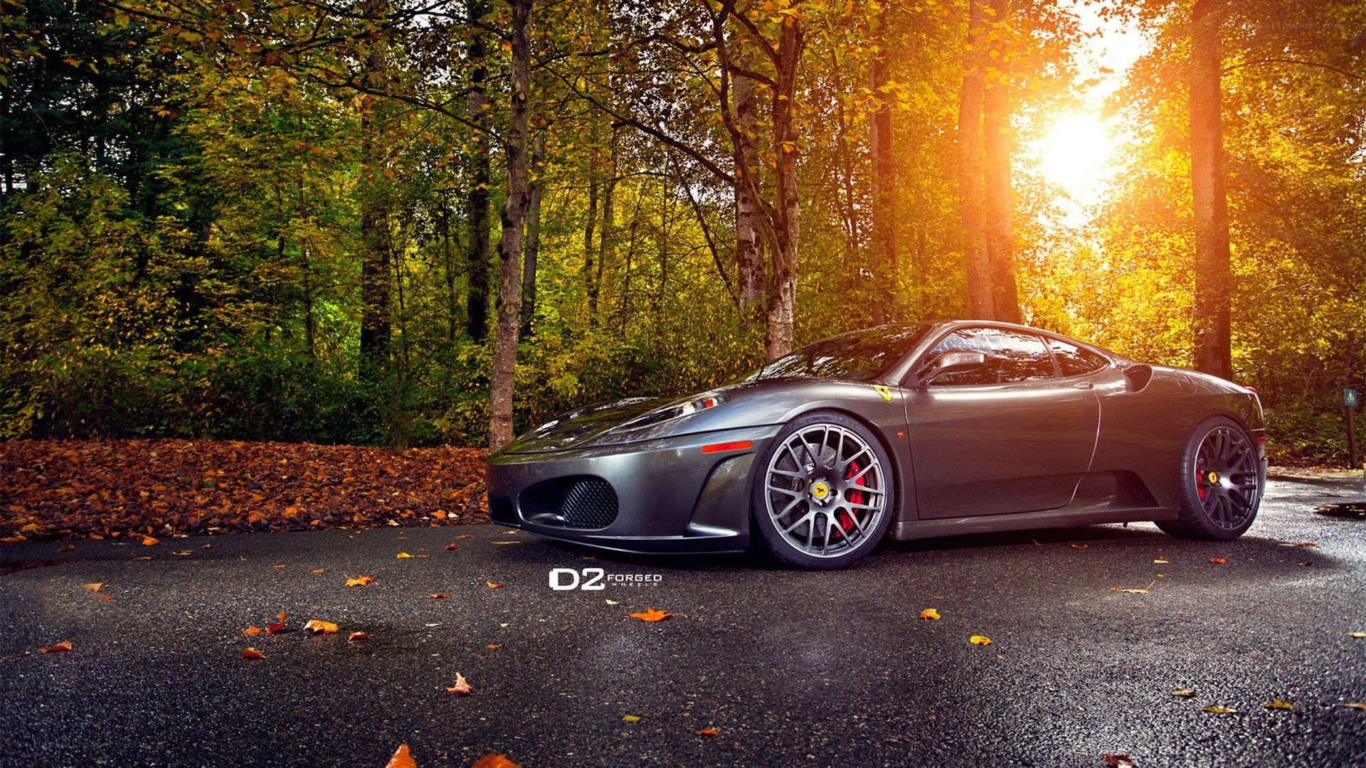 Ferrari in autumn forest