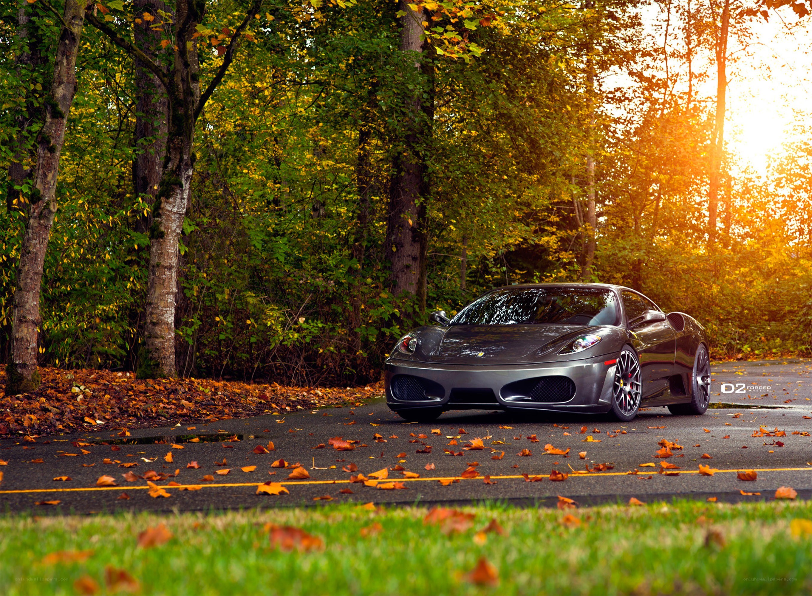 Ferrari in autumn forest