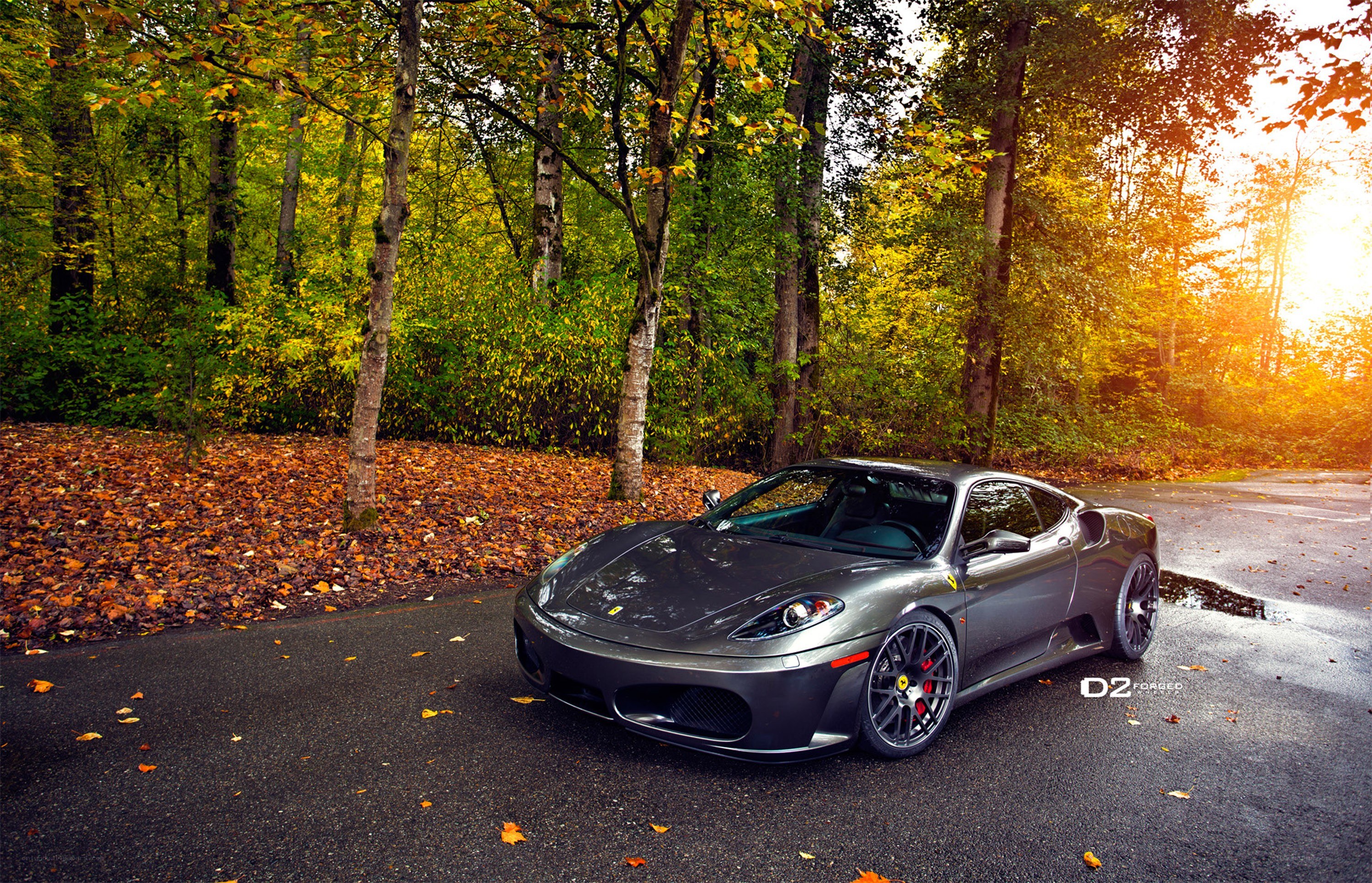 Ferrari in autumn forest