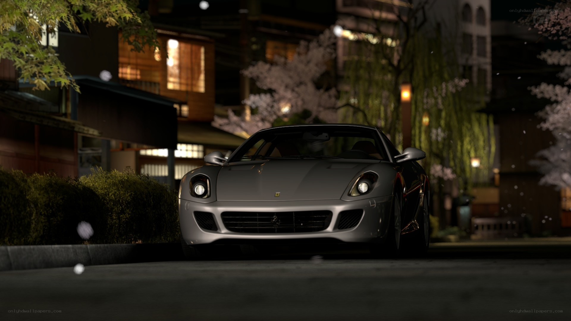 Ferrari in cherry blossom night