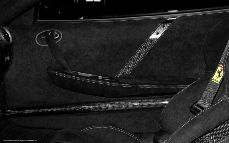 Ferrari interior door panel