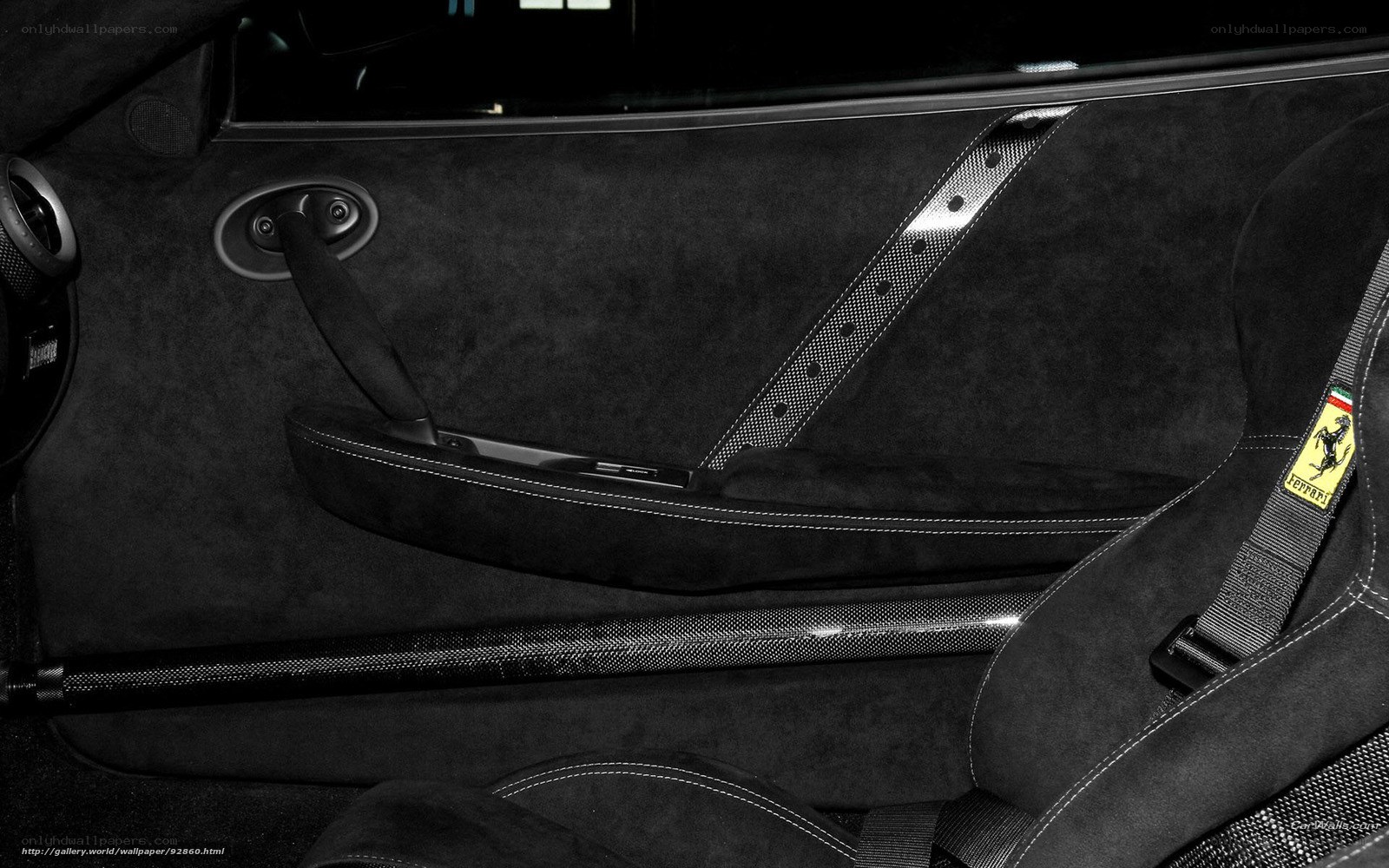 Ferrari interior door panel