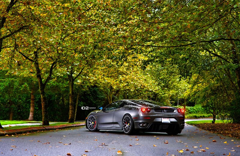 Ferrari on a tree-lined road