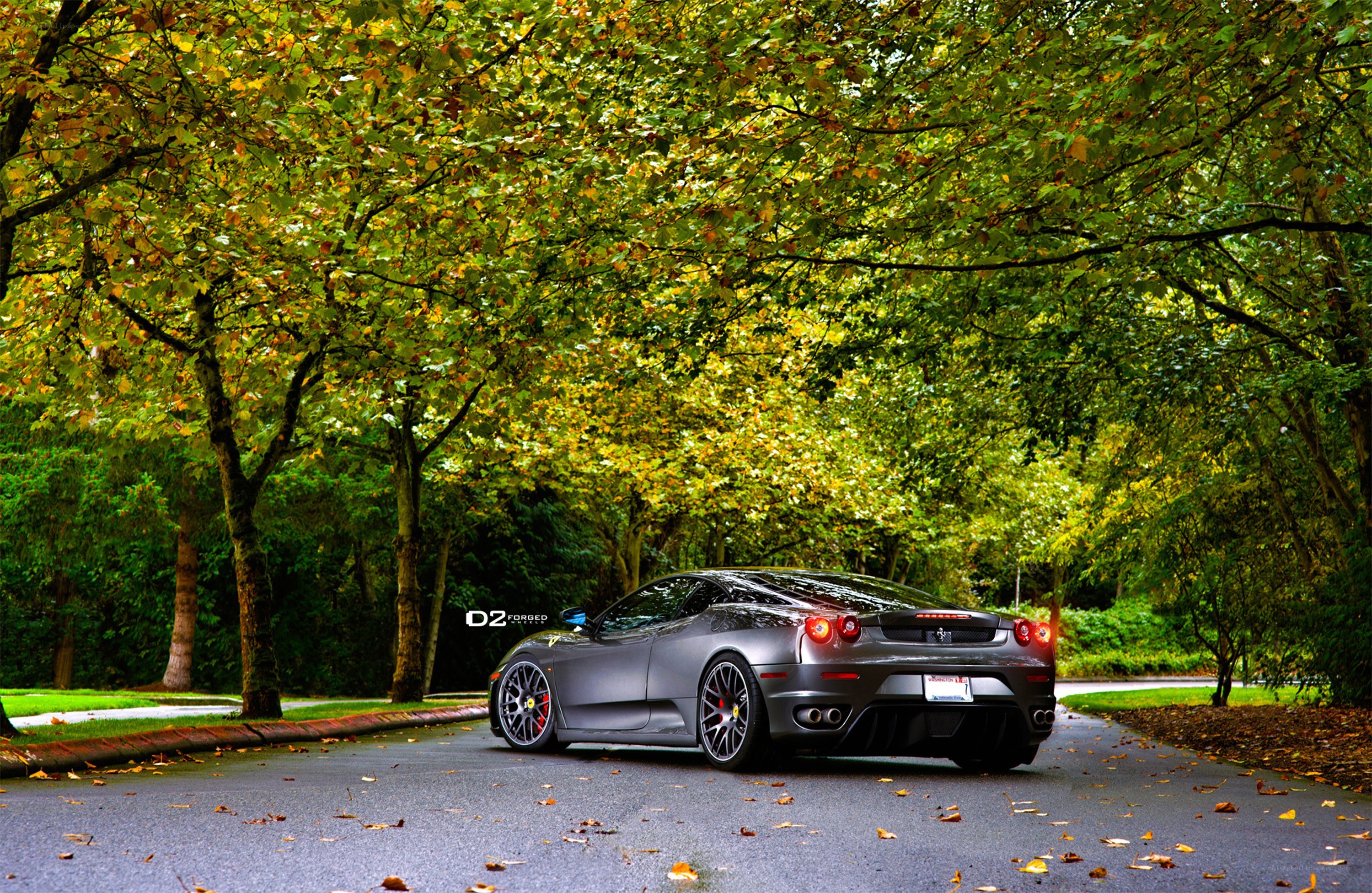 Ferrari on a tree-lined road