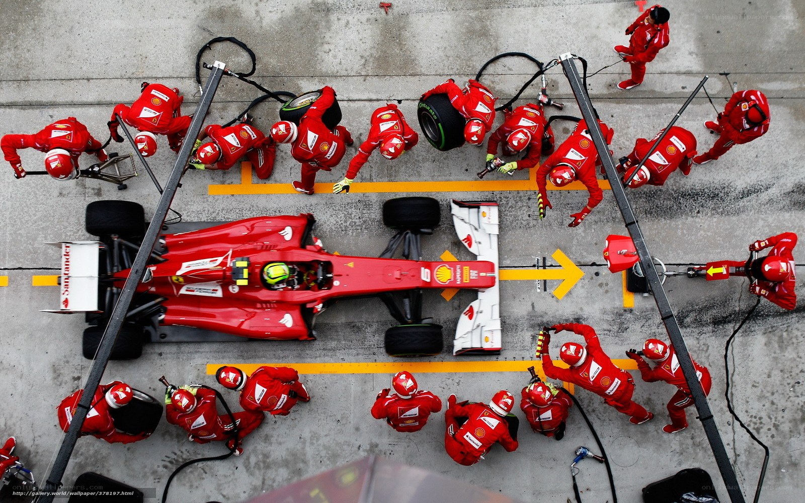 Ferrari pit stop in action