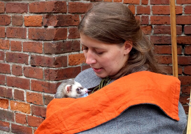 Ferret in Carrier