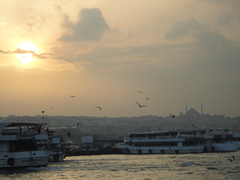 Ferries on a Harbor