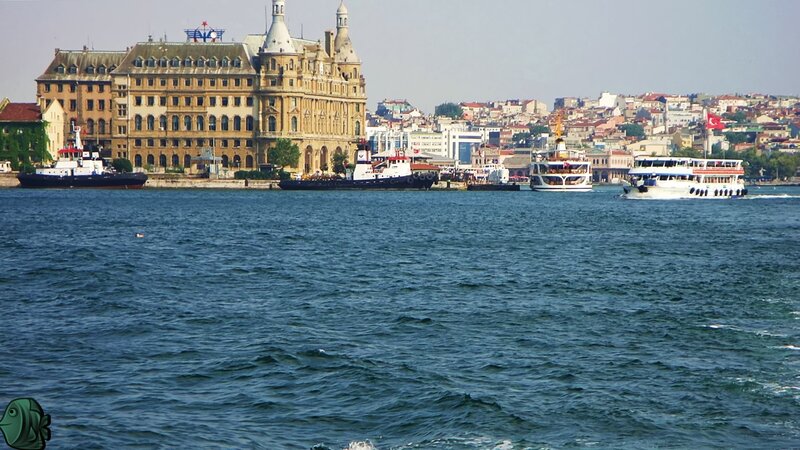 Ferries on a Waterway