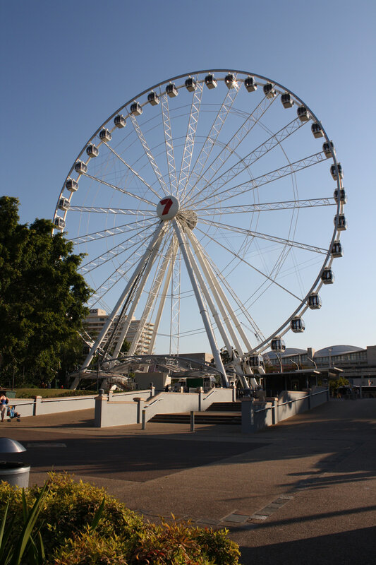 Ferris wheel at a park