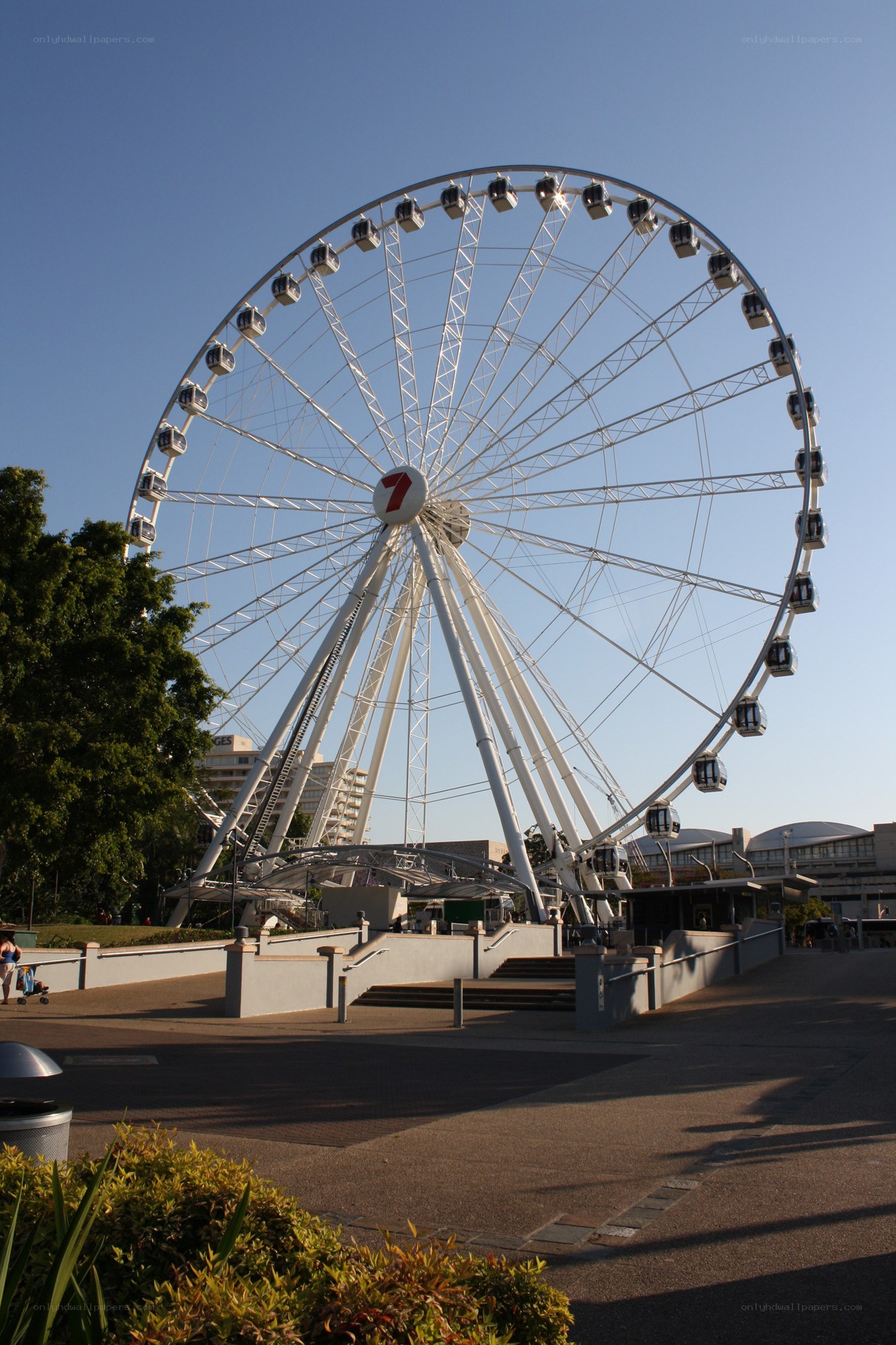 Ferris wheel at a park