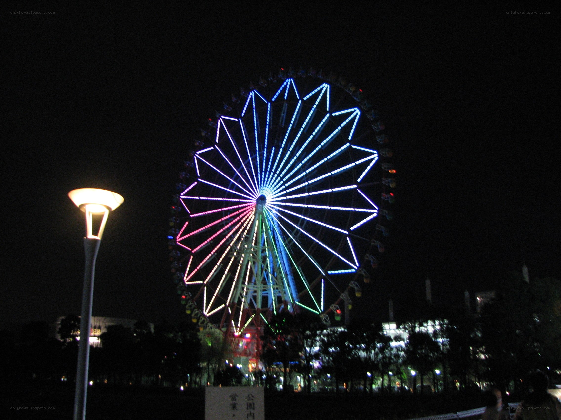 Ferris wheel at night