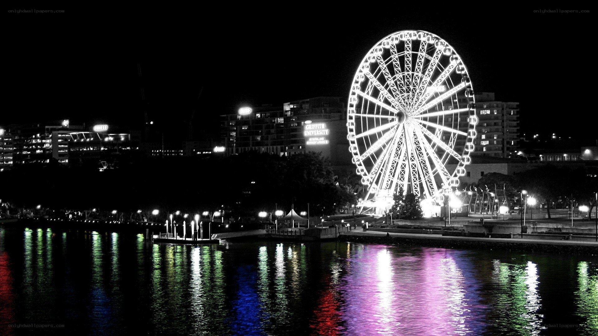 Ferris wheel at night
