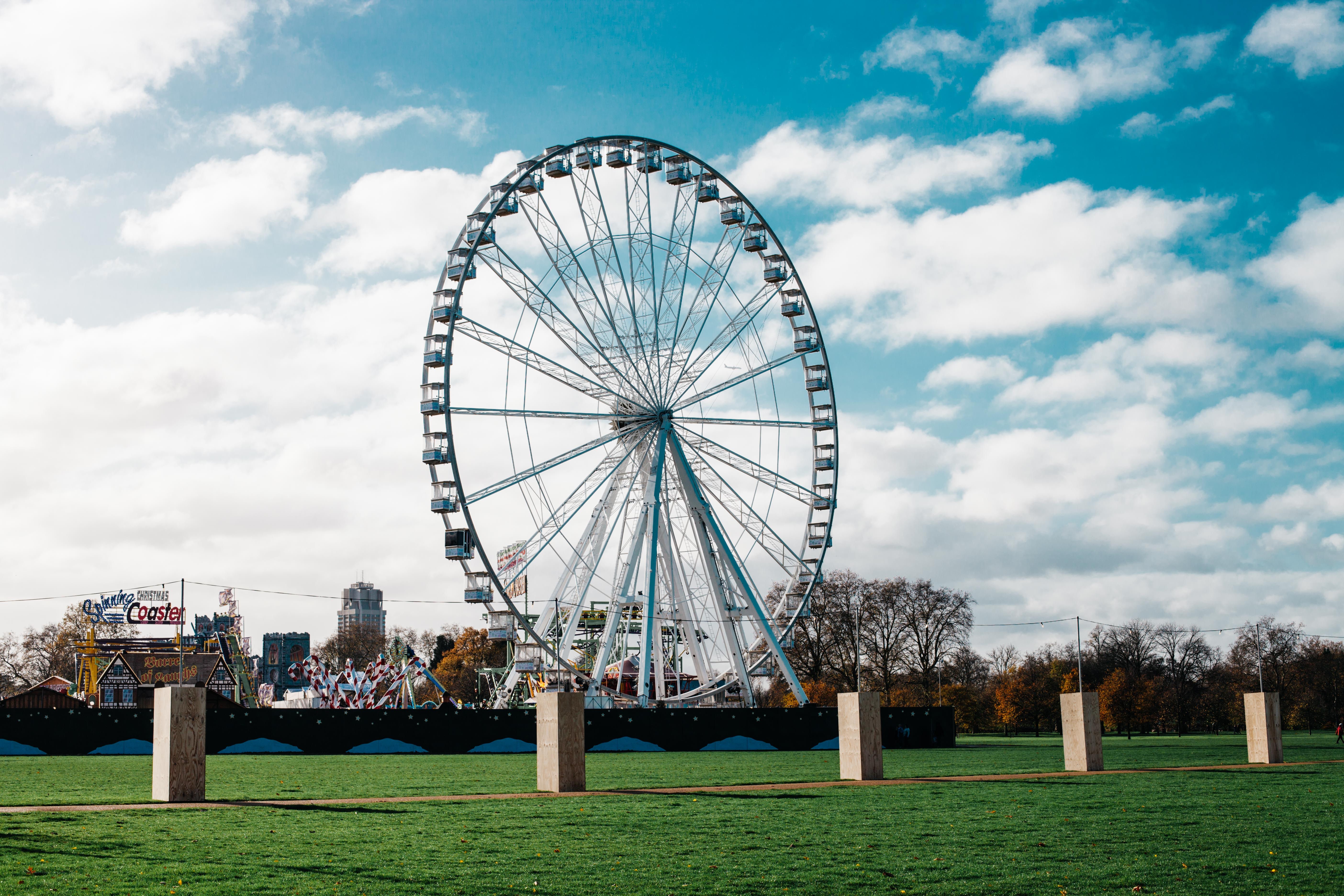 Ferris wheel in a park