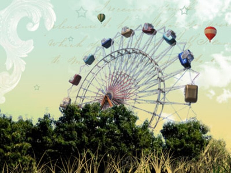 Ferris Wheel in Park