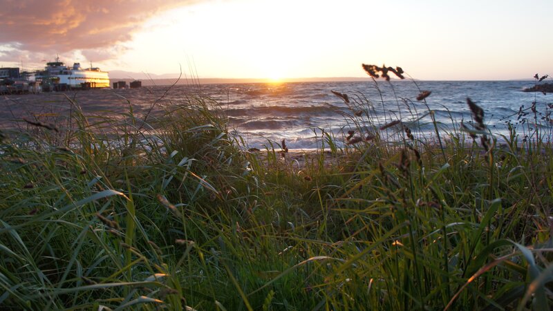 Ferry at Sunset — Green
