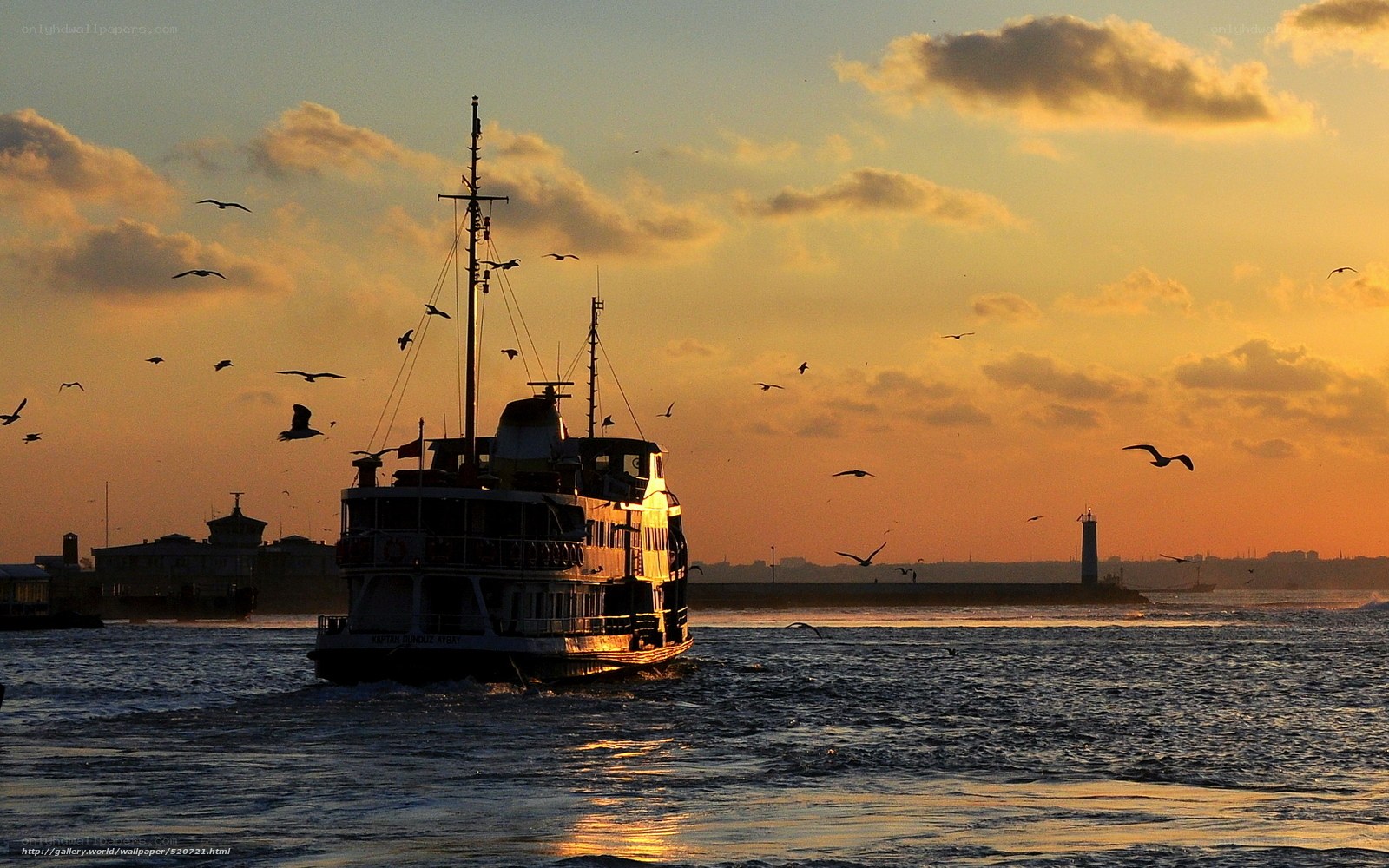Ferry at sunset with seagulls