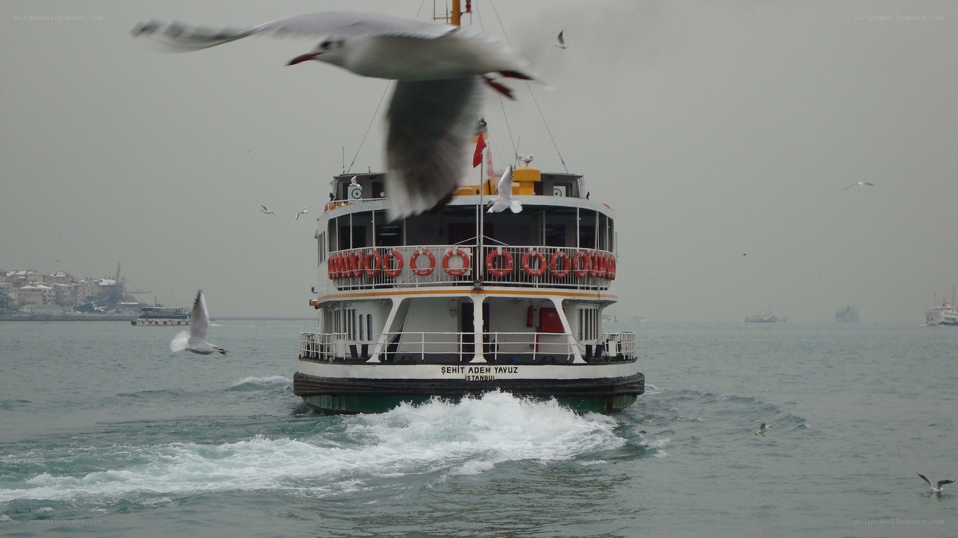 Ferry boat in Istanbul
