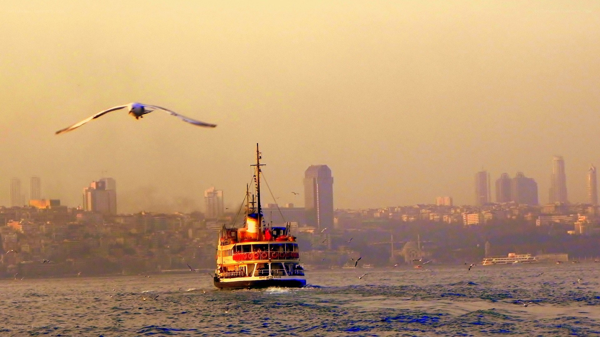 Ferry boat on the Bosphorus