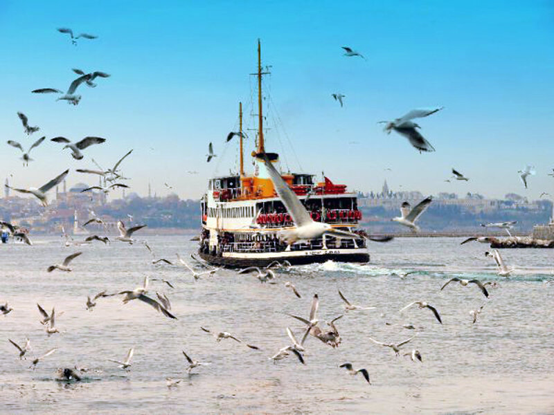 Ferry boat with seagulls