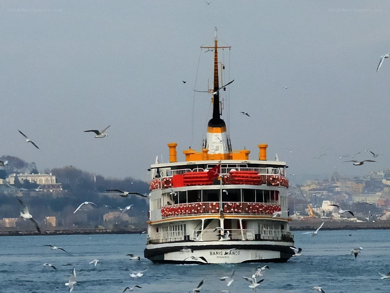Ferry in Istanbul with seagulls