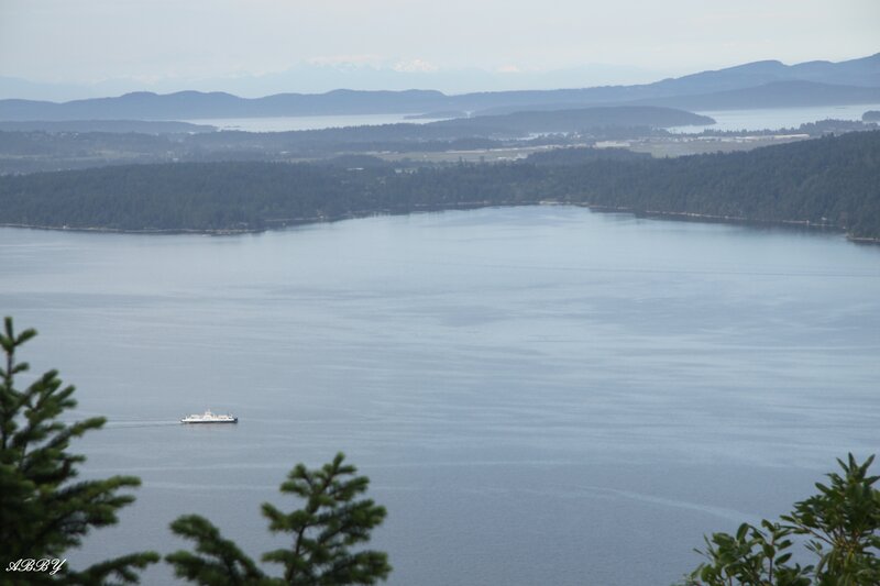 Ferry on a Bay