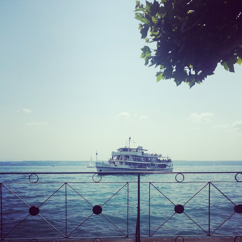 Ferry on a lake with tree branch