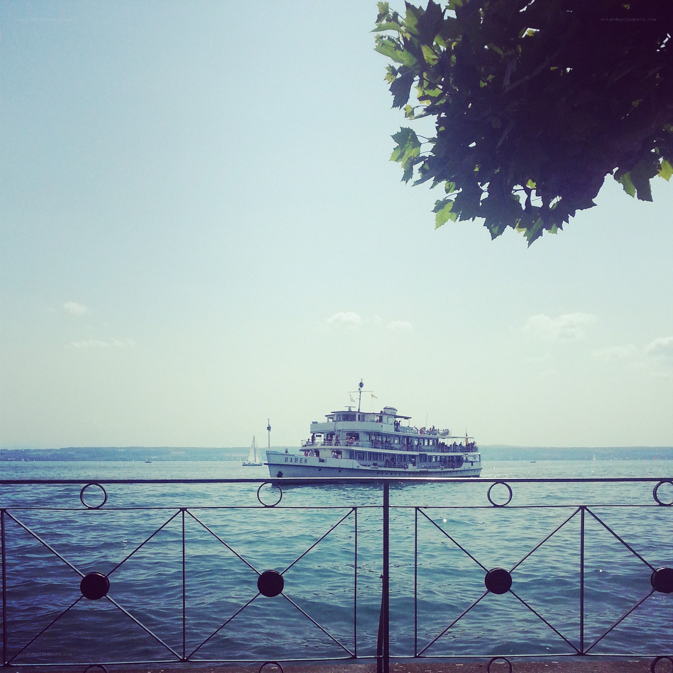 Ferry on a lake with tree branch