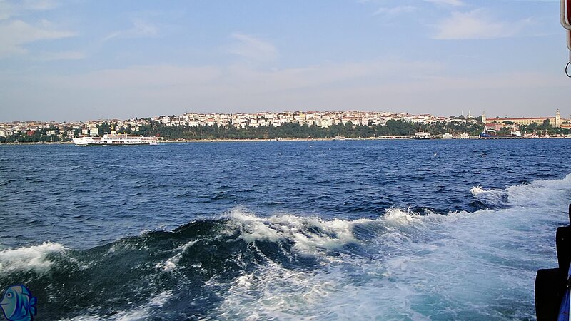 Ferry on Blue Water