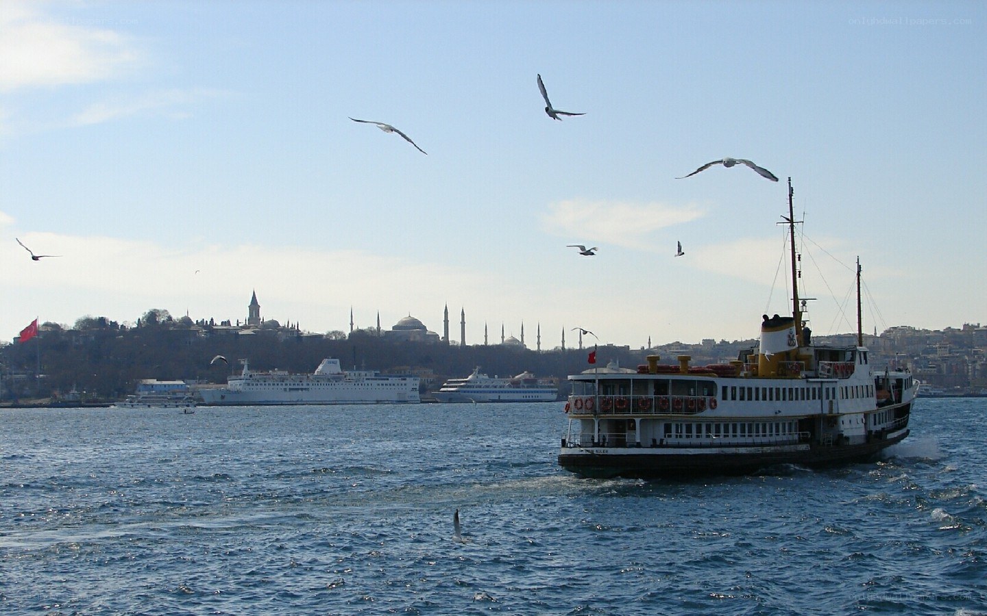 Ferry on the Bosphorus