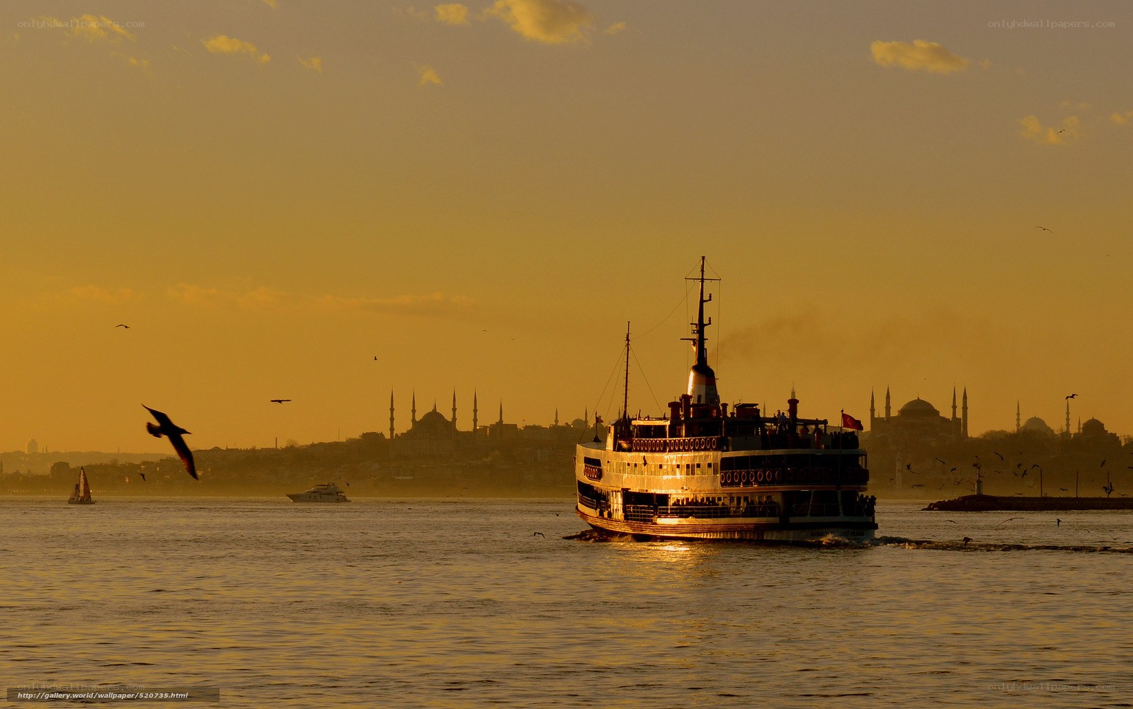 Ferry on the Bosphorus at sunset