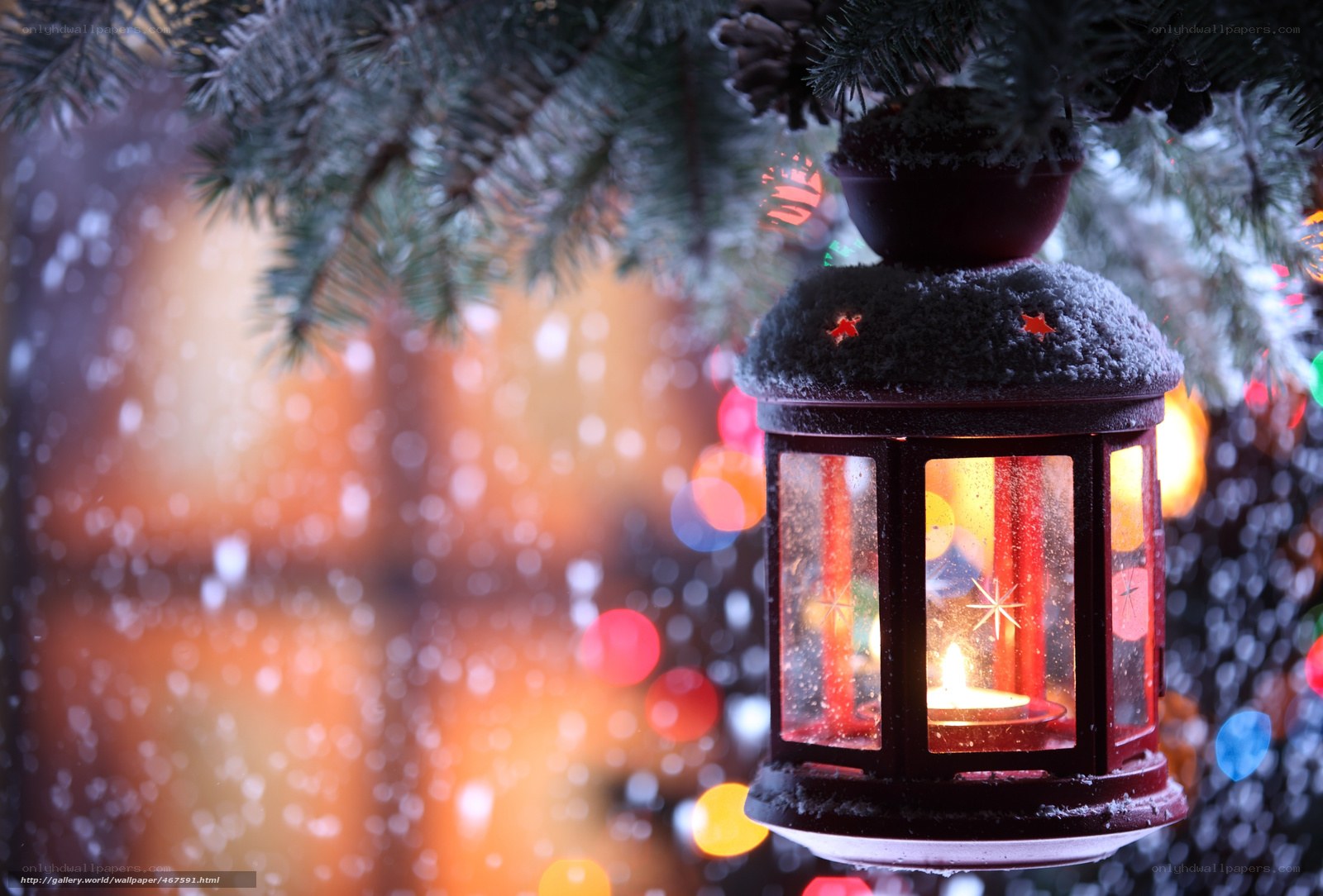Festive lantern under snow-covered branches