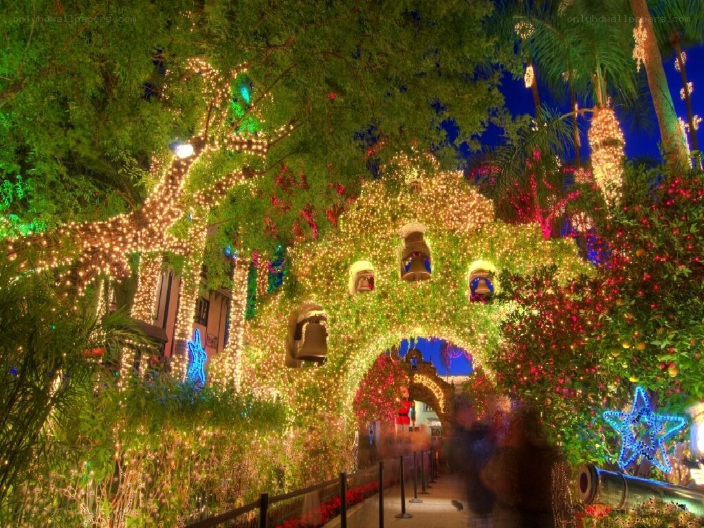 festive lights at night
