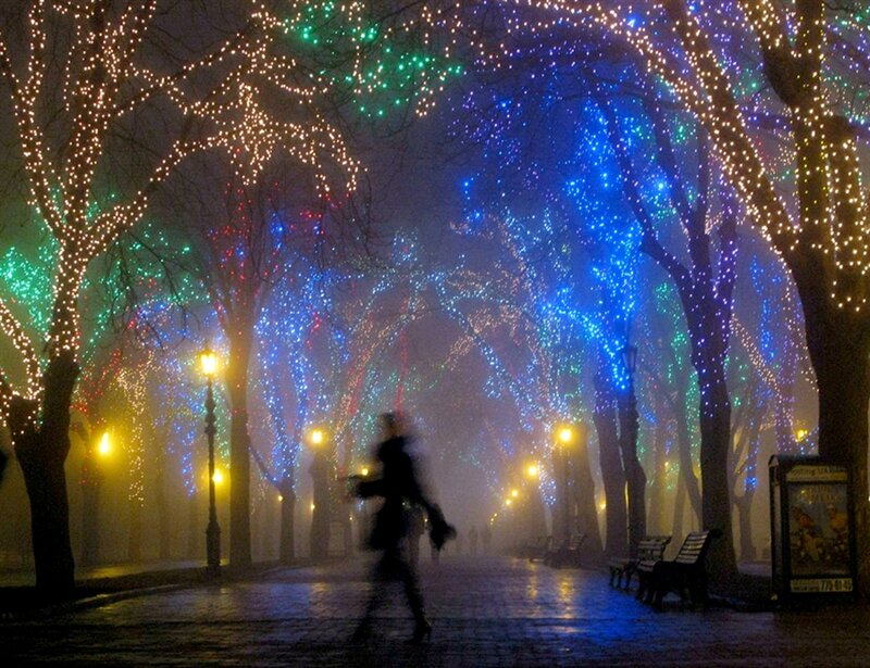 Festive lights in a foggy park