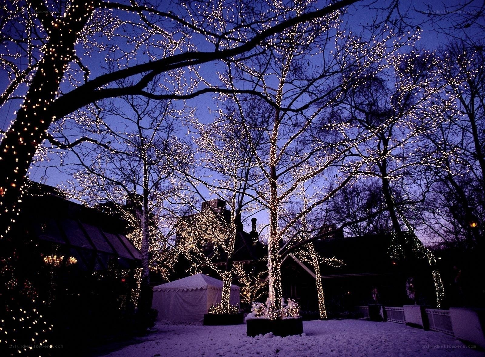 Festive lights in snowy park