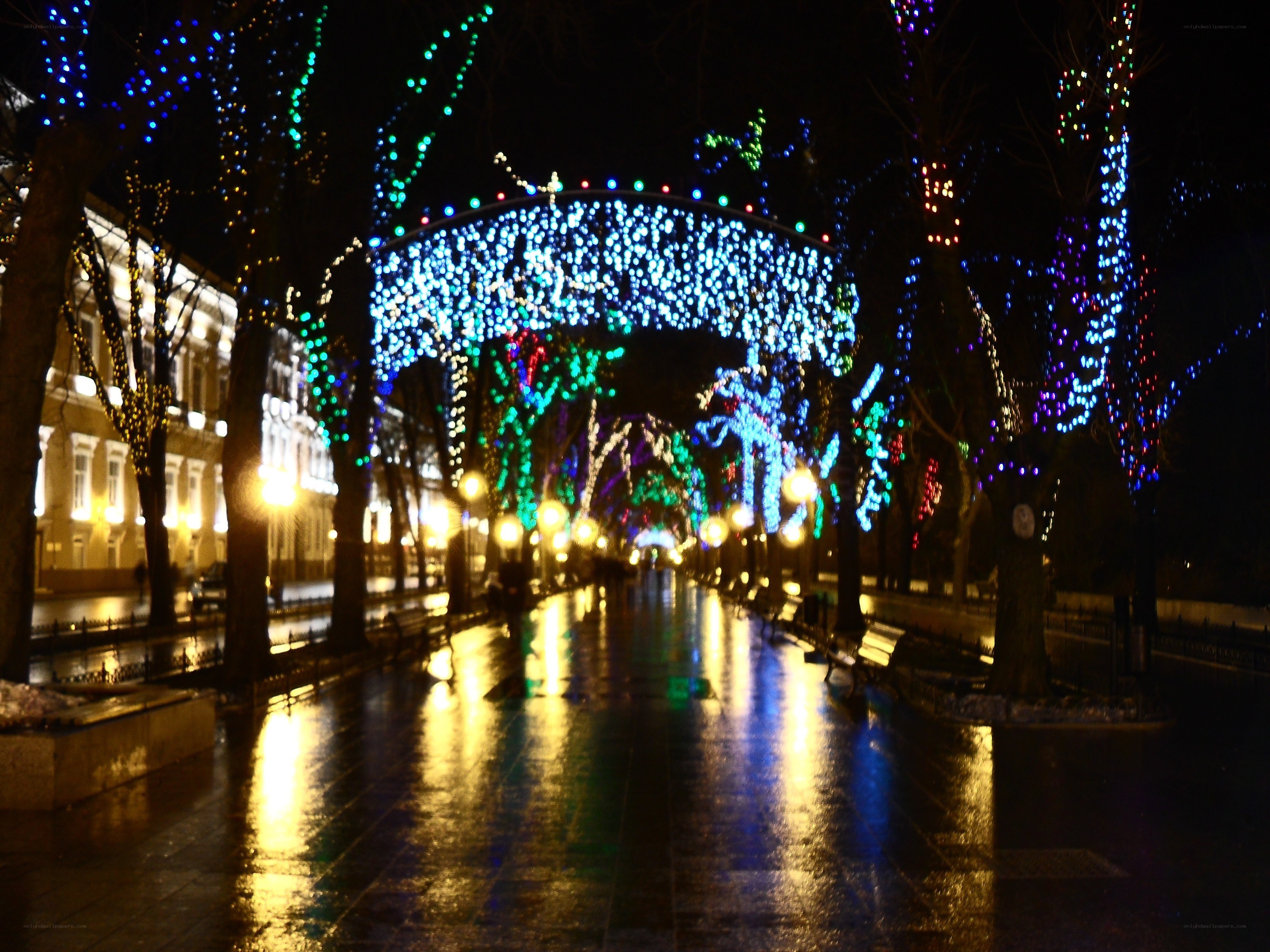Festive lights on a wet night