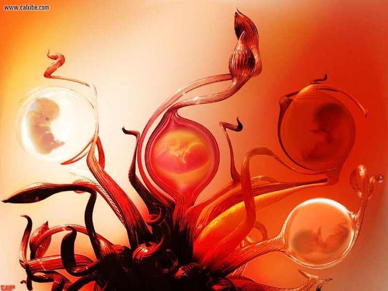 Fetal Development in Sacs