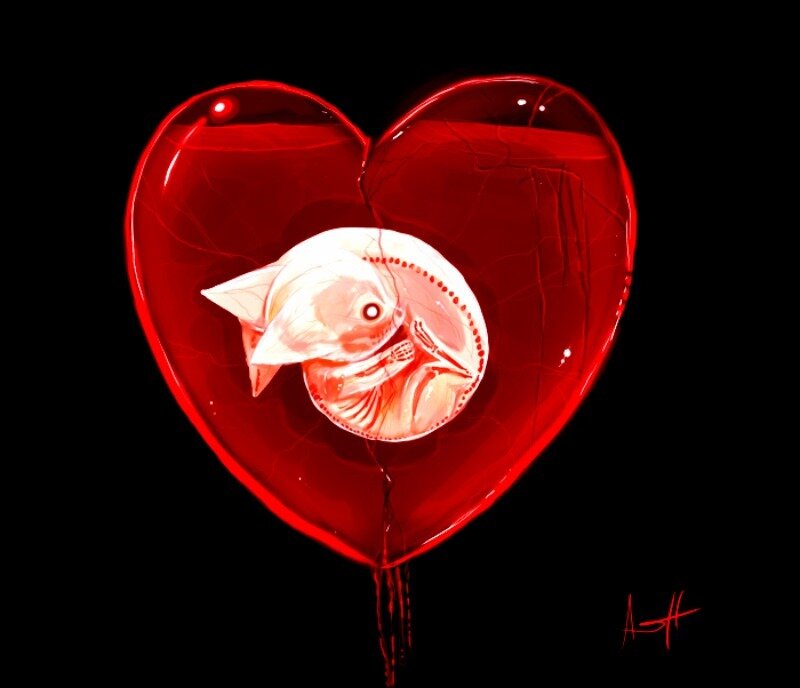 Fetal Embryo in Heart