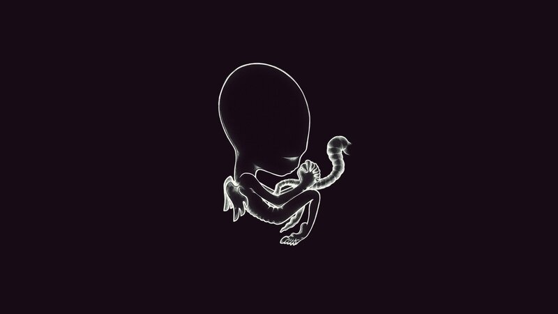 Fetal Embryo Silhouette