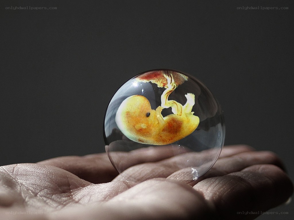 Fetus in a glass sphere