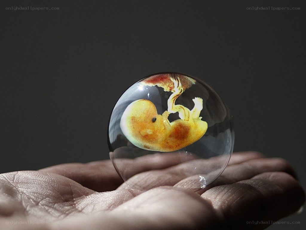 Fetus in a glass sphere